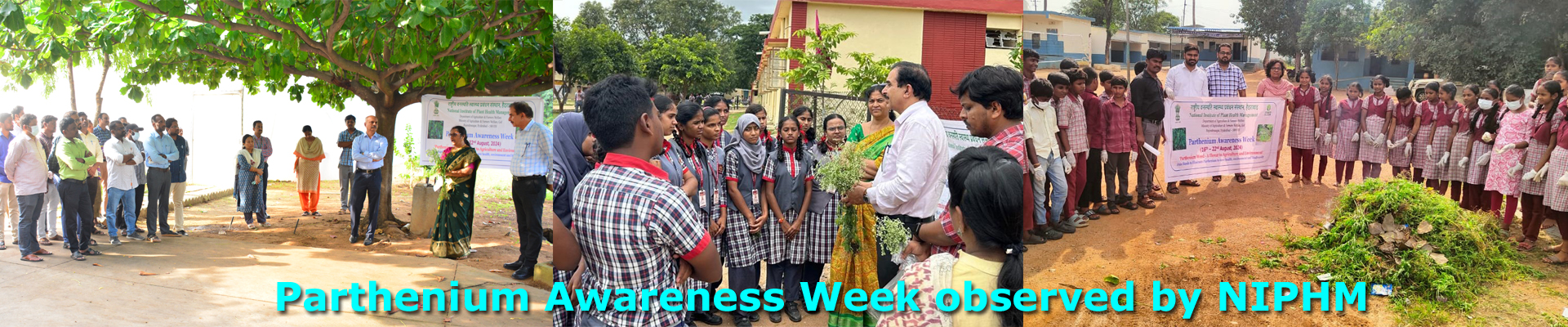 Parthenium awareness week is observed at NIPHM from 16-22 August 2024. As part of the program, an awareness campaign is conducted for children of various schools.